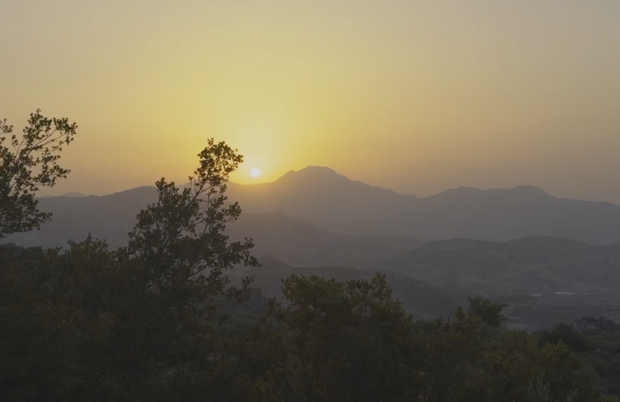 The Power of Pressing Pause